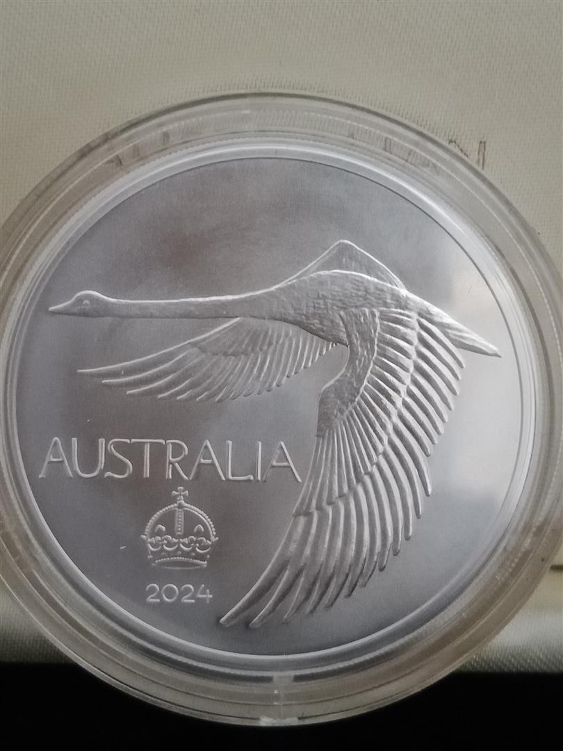 2024-'Swan-Dollar'-.